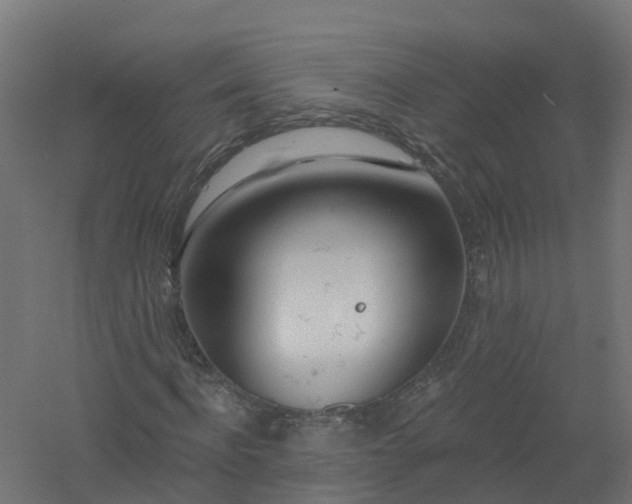 X0000061100916200511241612
