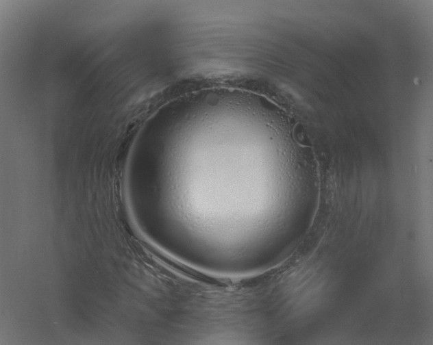 X0000061100917200511241612
