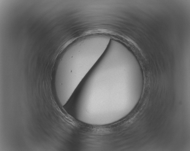 X0000061100921200511241612