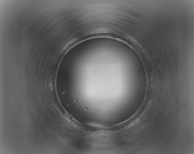 X0000061100929200511241612