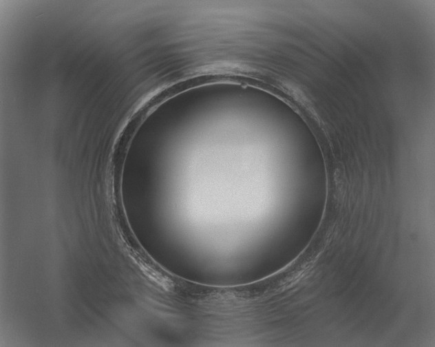 X0000061100931200511241612
