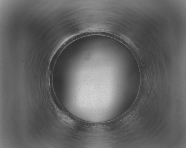 X0000061100934200511241612