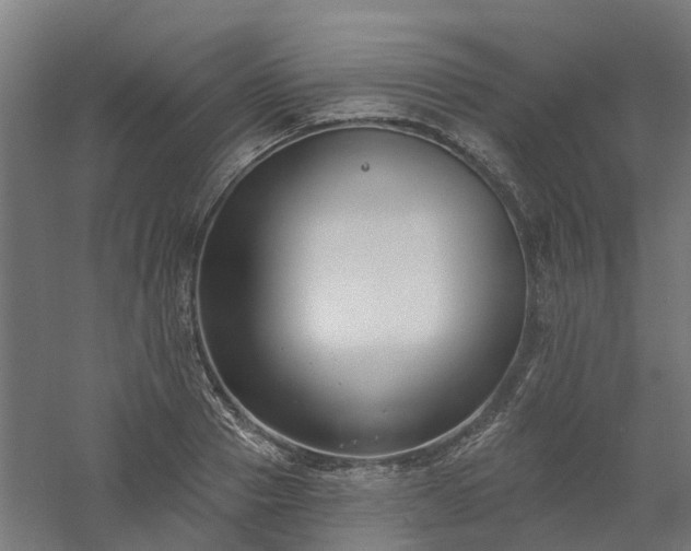 X0000061100937200511241612