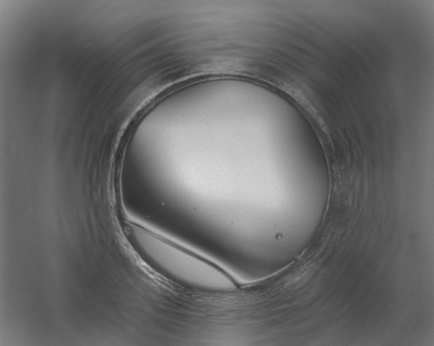 X0000061100939200511241612
