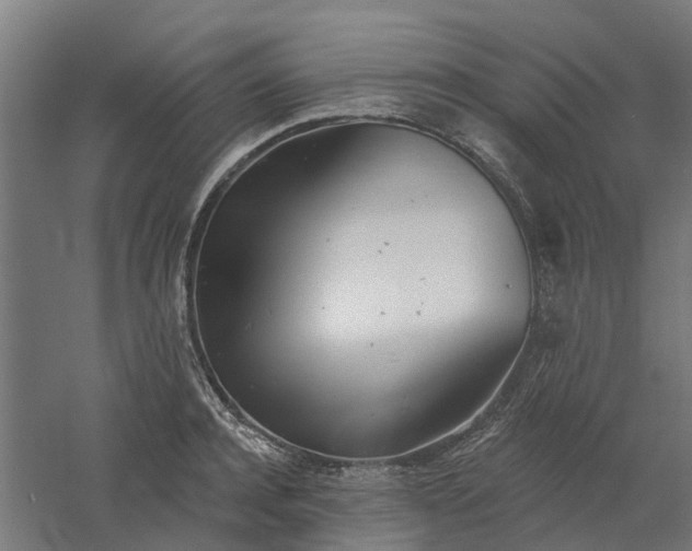 X0000061100944200511241612