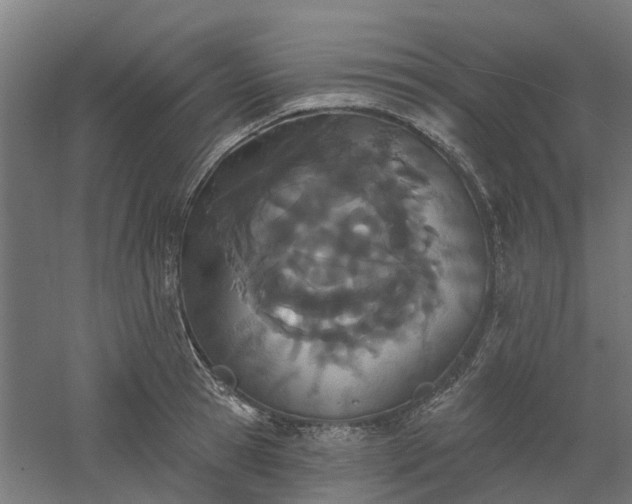 X0000061100945200511241612
