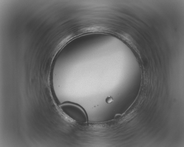 X0000061100946200511241612