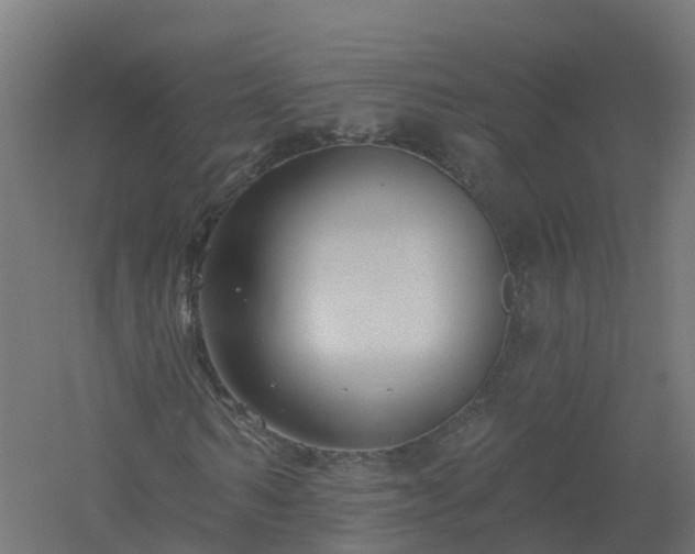 X0000061100962200511241612