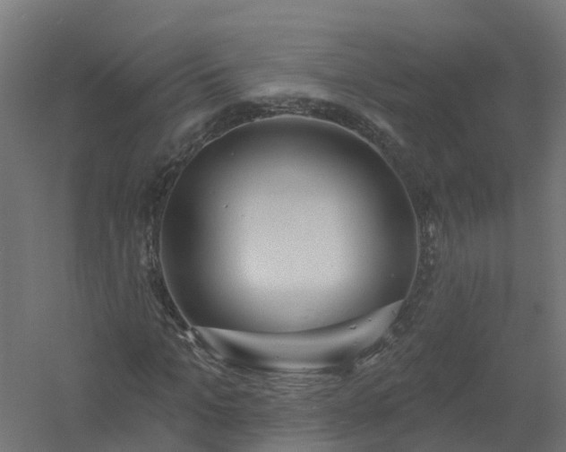 X0000061100965200511241612