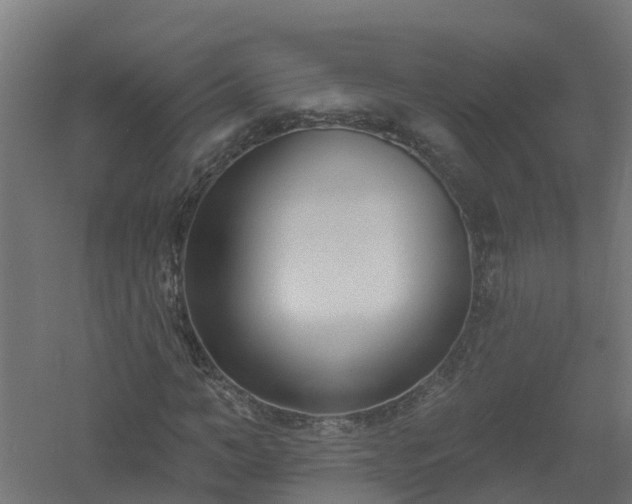X0000061100966200511241612