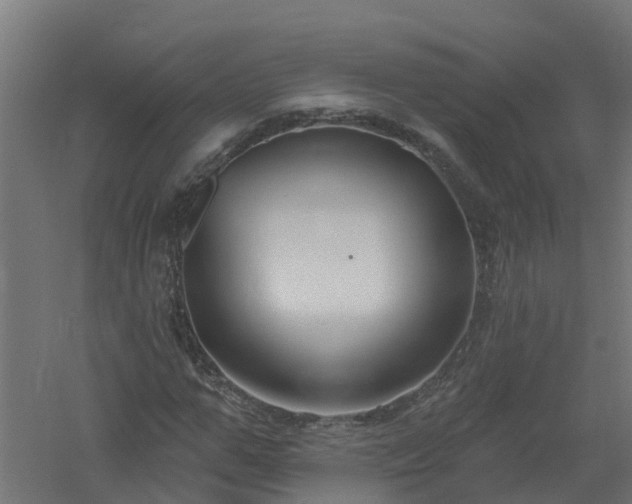 X0000061100967200511241611