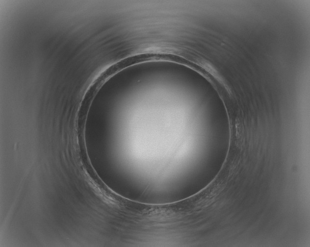 X0000061100972200511241611