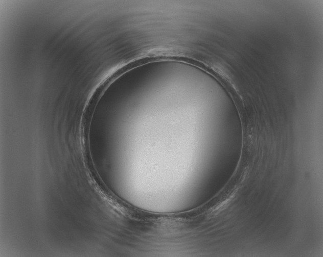 X0000061100981200511241611