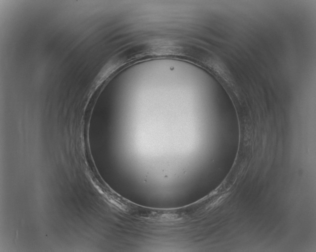 X0000061100986200511241611