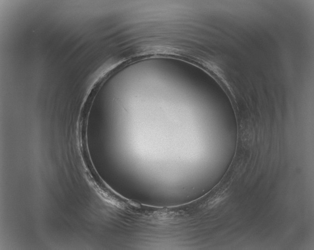 X0000061100987200511241611