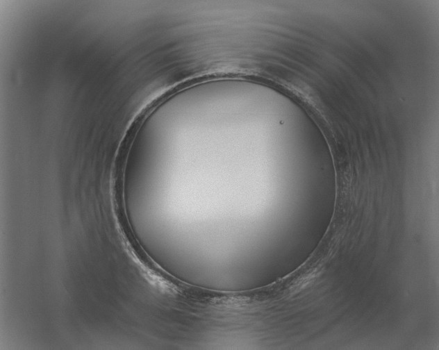 X0000061100991200511241611