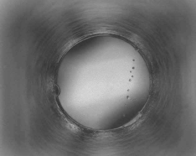 X0000061100993200511241611