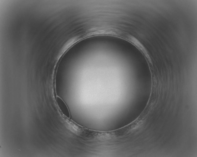 X0000061101002200511241611