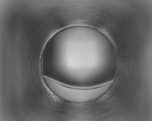 X0000061101004200511241611