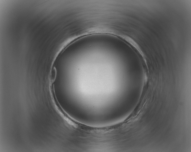 X0000061101005200511241611