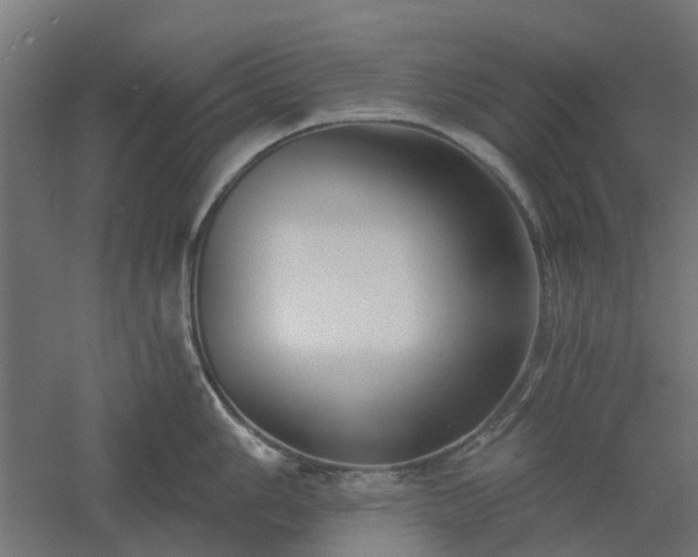 X0000061101006200511241611