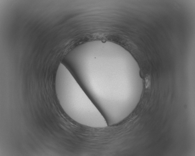 X0000061101011200511241610