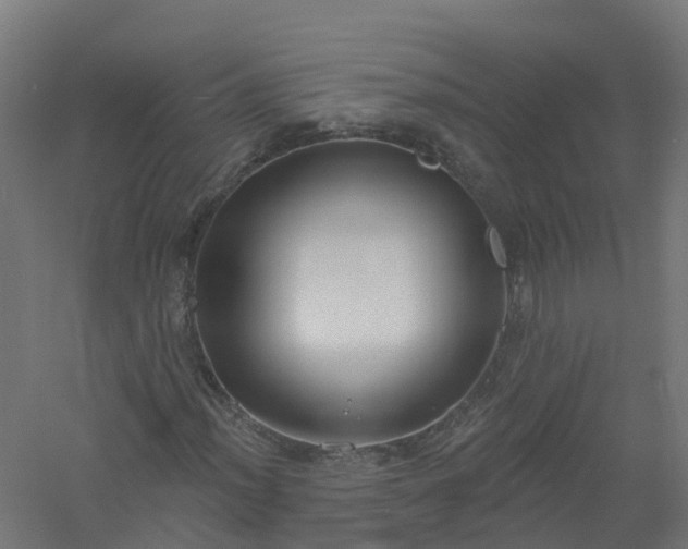 X0000061101012200511241610