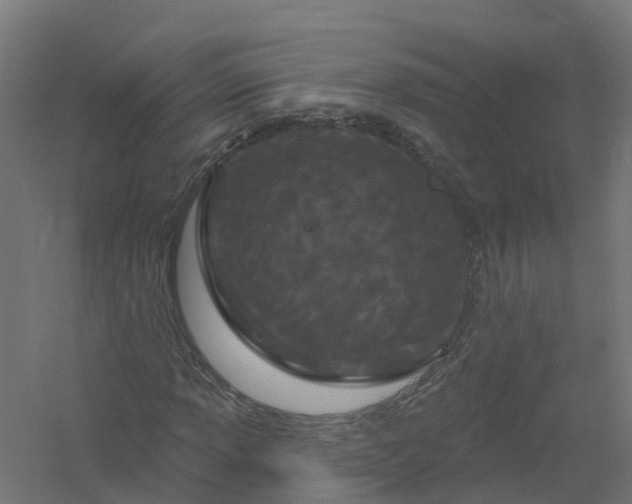 X0000061101013200511241610