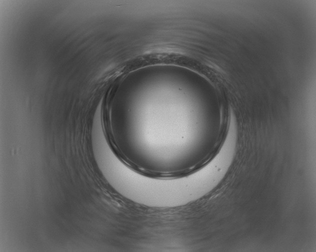 X0000061101014200511241610