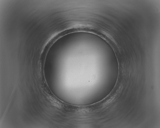 X0000061101021200511241610