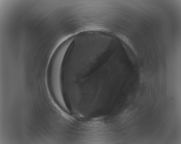 X0000061101024200511241610