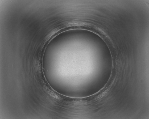 X0000061101025200511241610