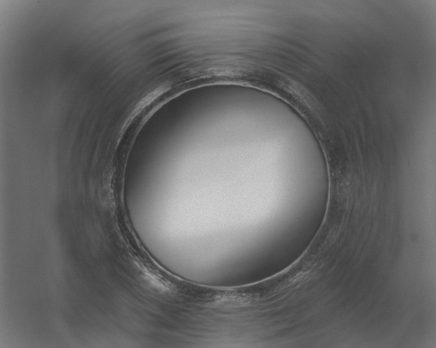 X0000061101026200511241610