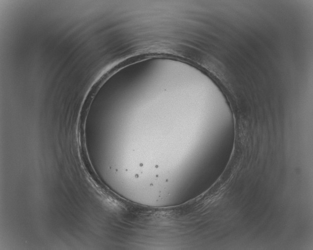 X0000061101028200511241610