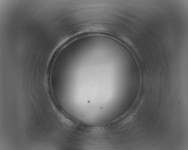 X0000061101029200511241610