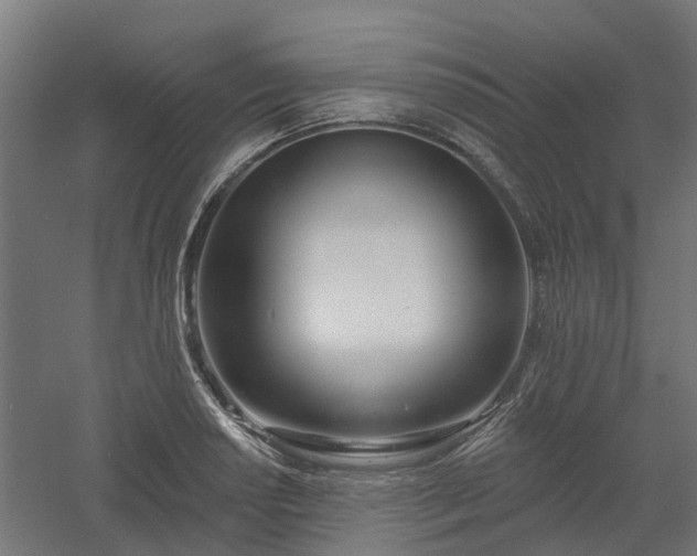 X0000061101034200511241610