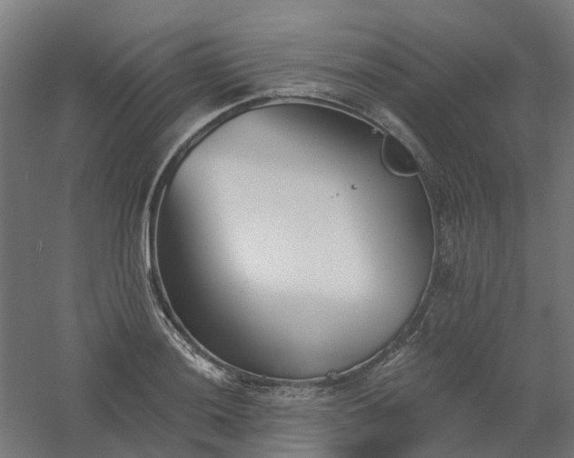 X0000061101036200511241610