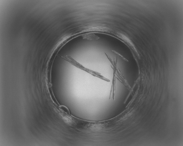 X0000061101043200511241611