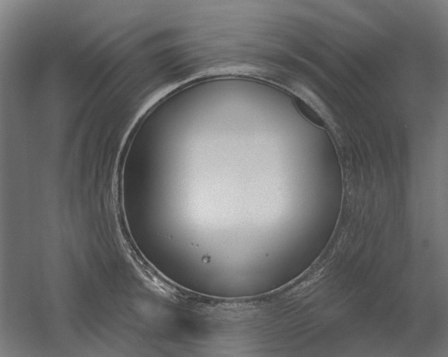 X0000061101044200511241611