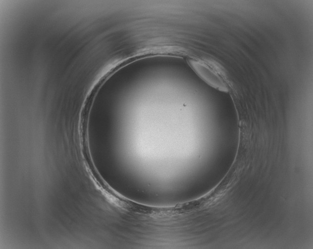 X0000061101046200511241611