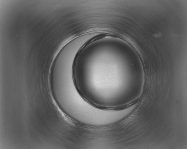 X0000061101050200511241611