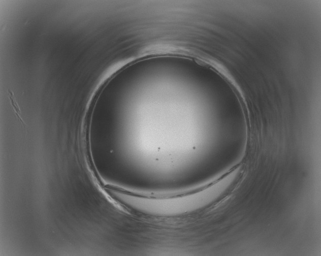 X0000061101053200511241611