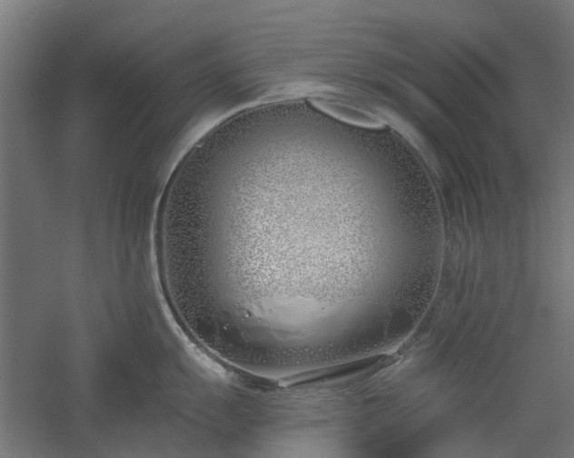 X0000061101055200511241611
