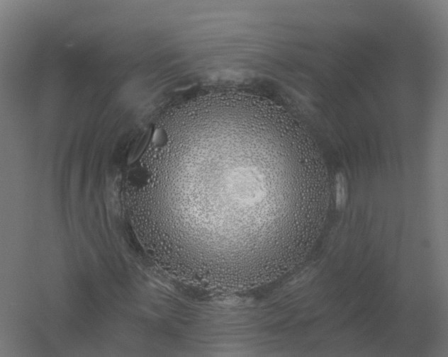 X0000061101059200511241610