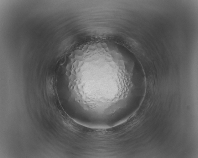 X0000061101060200511241610