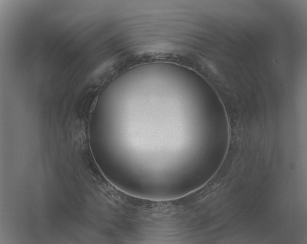 X0000061101062200511241610