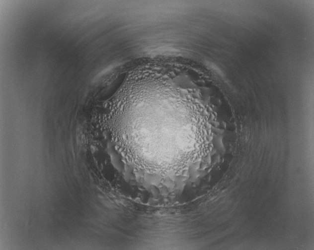 X0000061101063200511241610