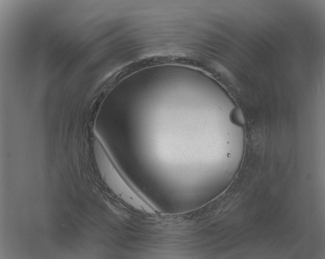 X0000061101064200511241610