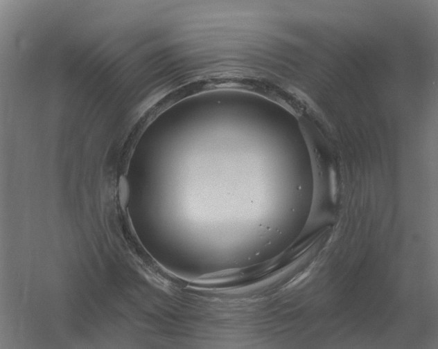 X0000061101065200511241610