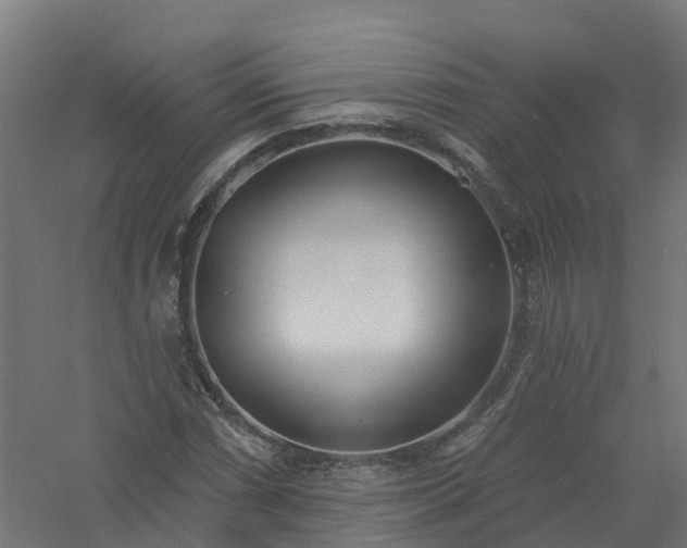 X0000061101066200511241610